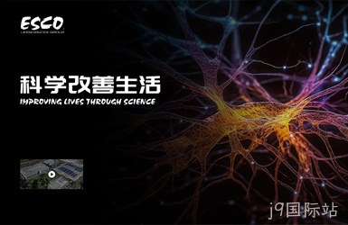 点击查看