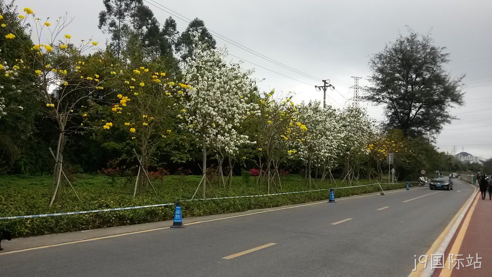 j9国际站仙湖行