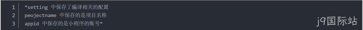 JSON 配置文件